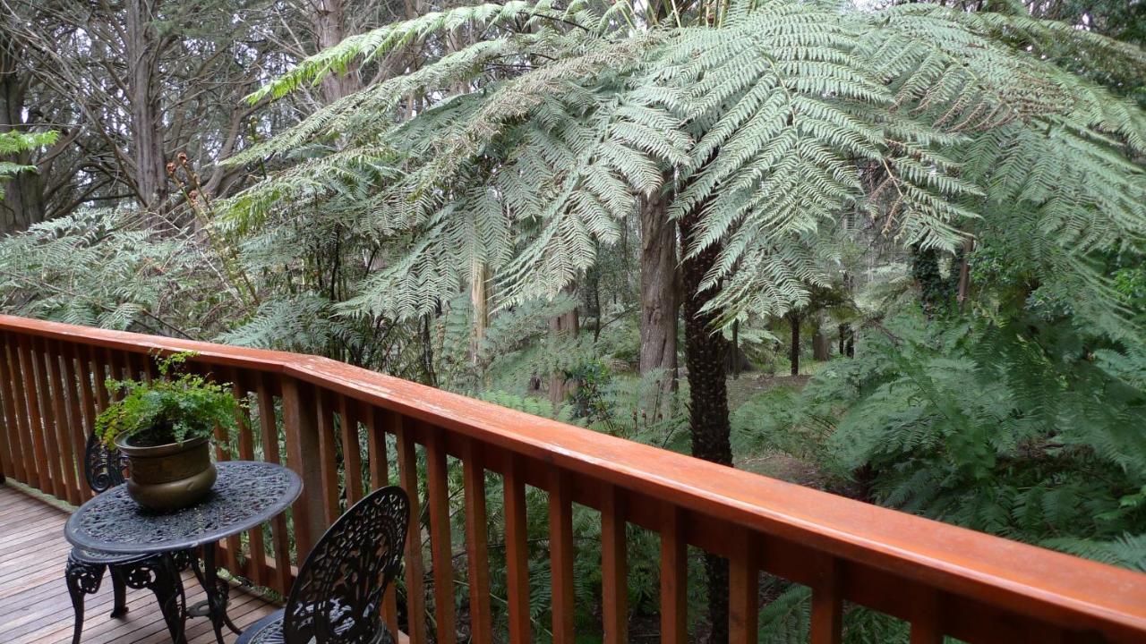 Chudleigh Park Cottages Sassafras Esterno foto