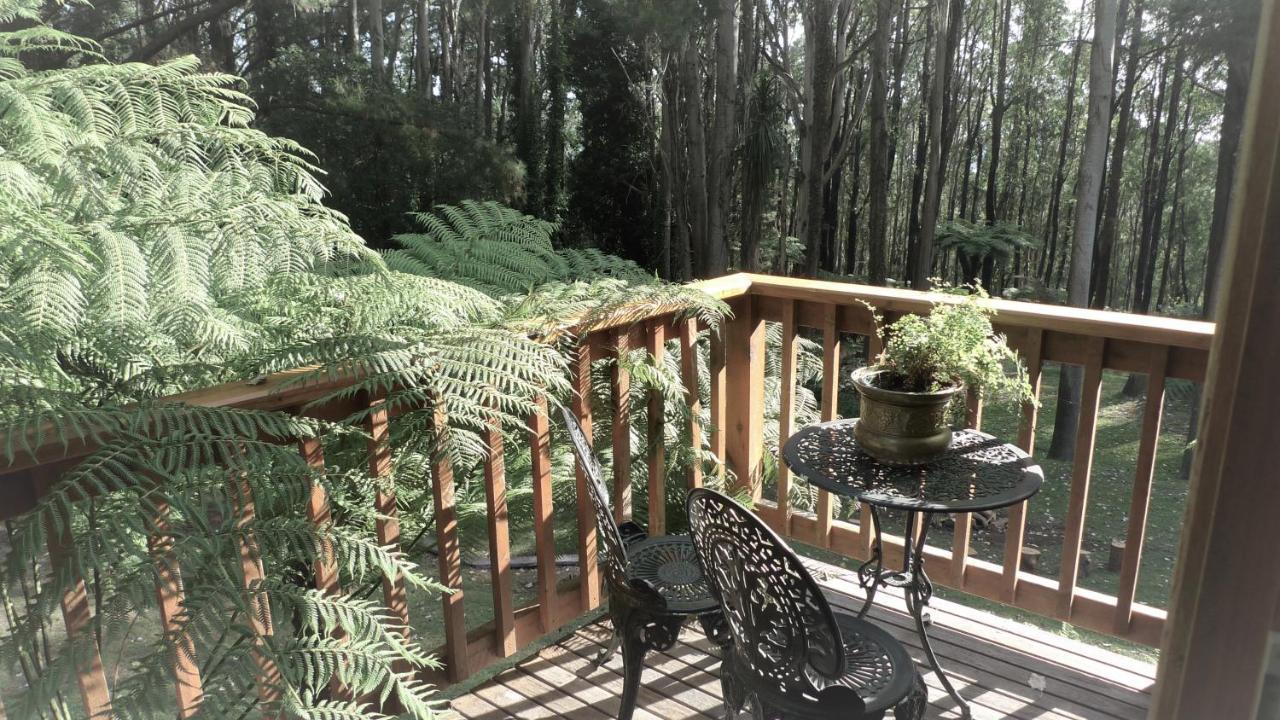 Chudleigh Park Cottages Sassafras Esterno foto