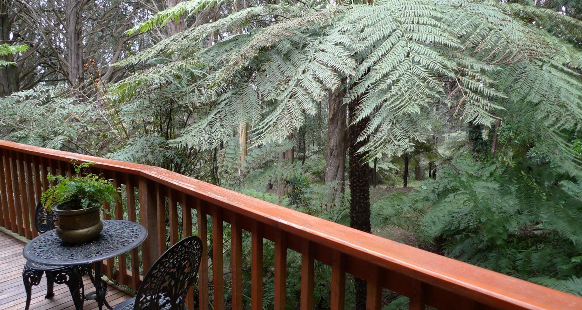 Chudleigh Park Cottages Sassafras Esterno foto