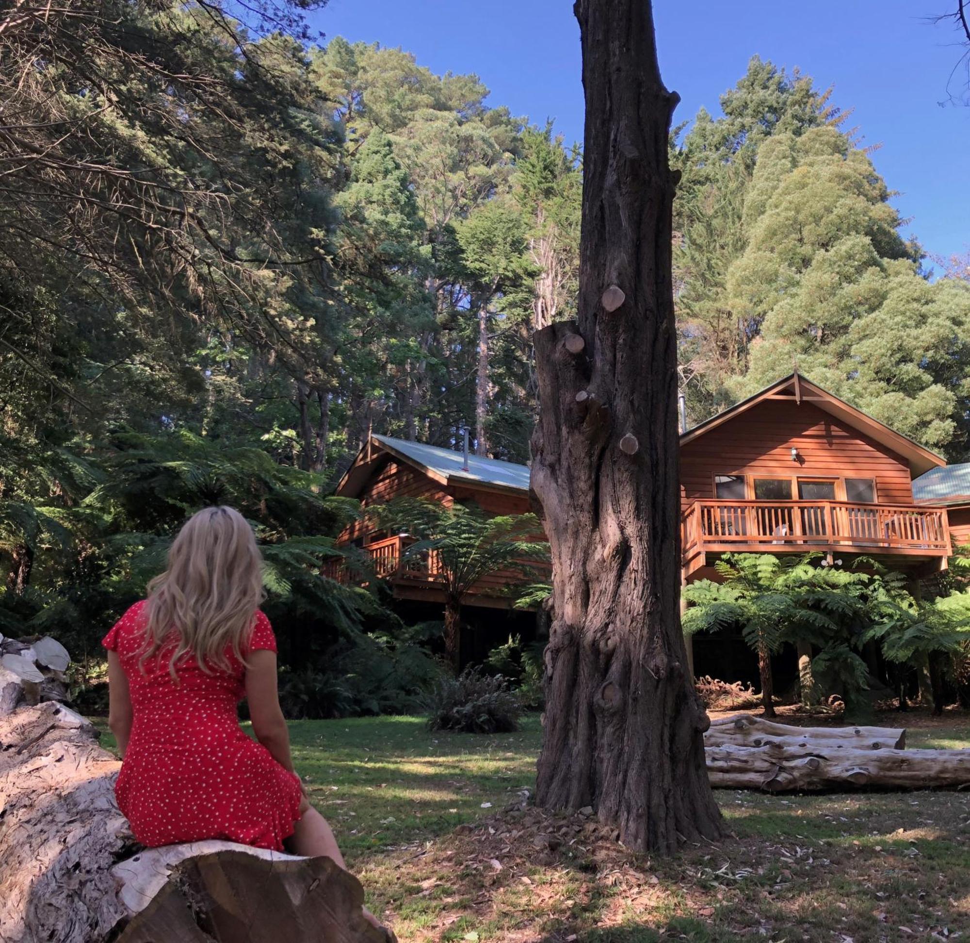 Chudleigh Park Cottages Sassafras Esterno foto